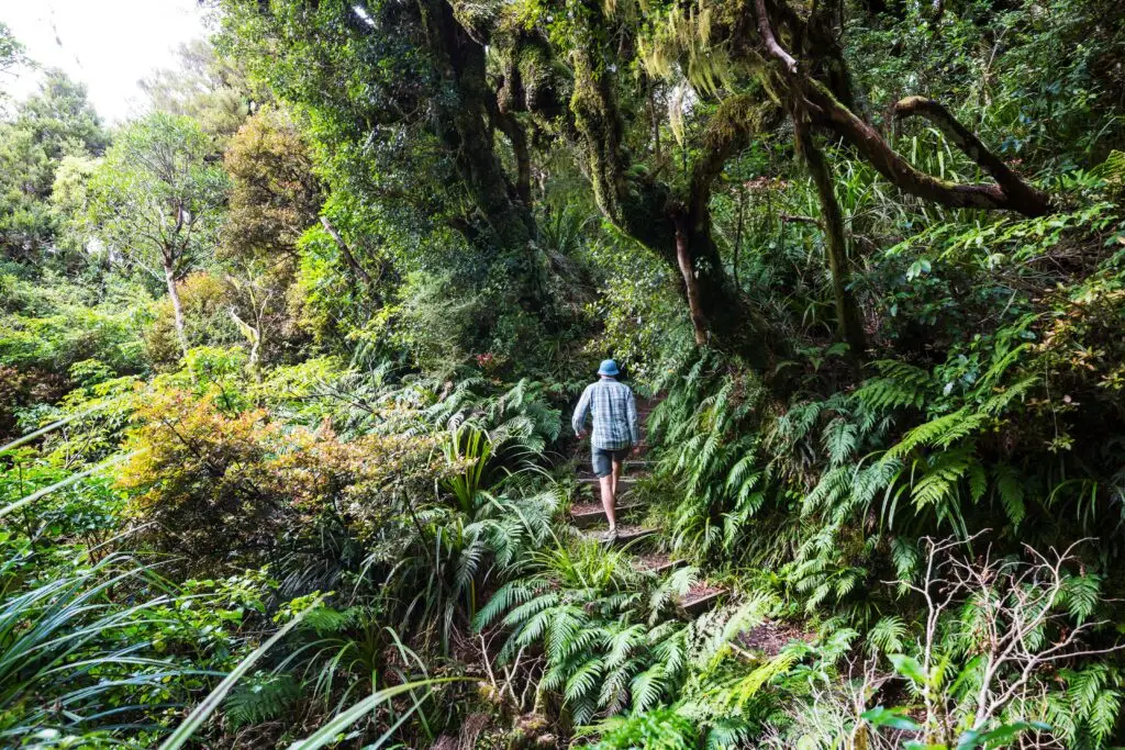 السياحة في نيوزيلندا-serapeumtours