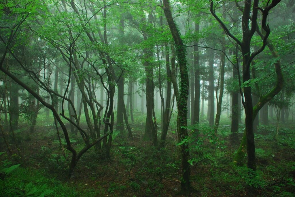 Jeju Island, South Korea