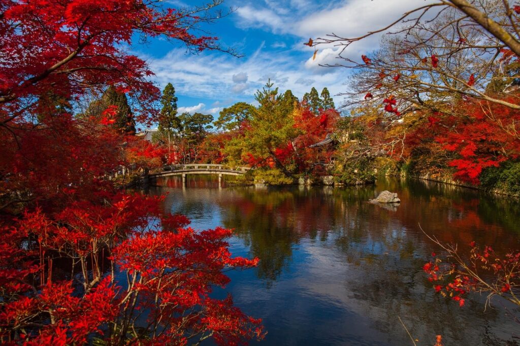 Kyoto, Japan-min