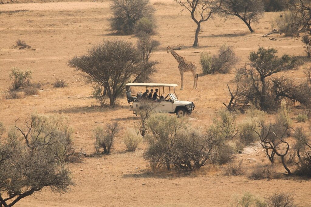 الحياة البرية في جنوب أفريقيا