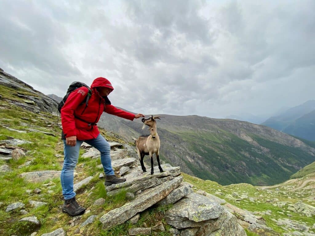 Heiligenblut to Grossglockner Hut – Austria