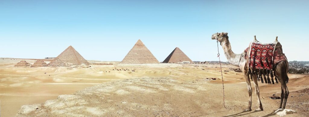 🌍 الفصل السادس: "الأهرامات في عيون العالم: مصدر إلهام مش بس للسياحة"