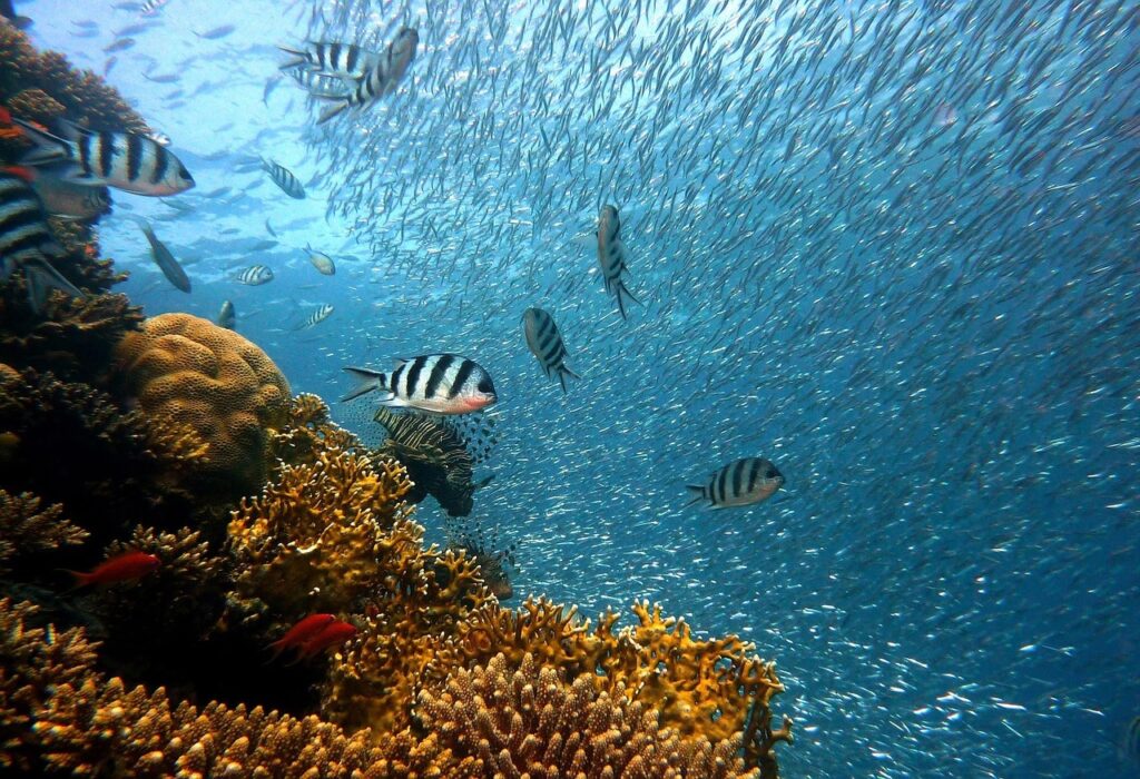 Top 10 Hidden Beaches in Egypt You Probably Haven’t Heard Of