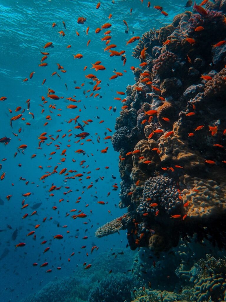 Top 10 Hidden Beaches in Egypt You Probably Haven’t Heard Of