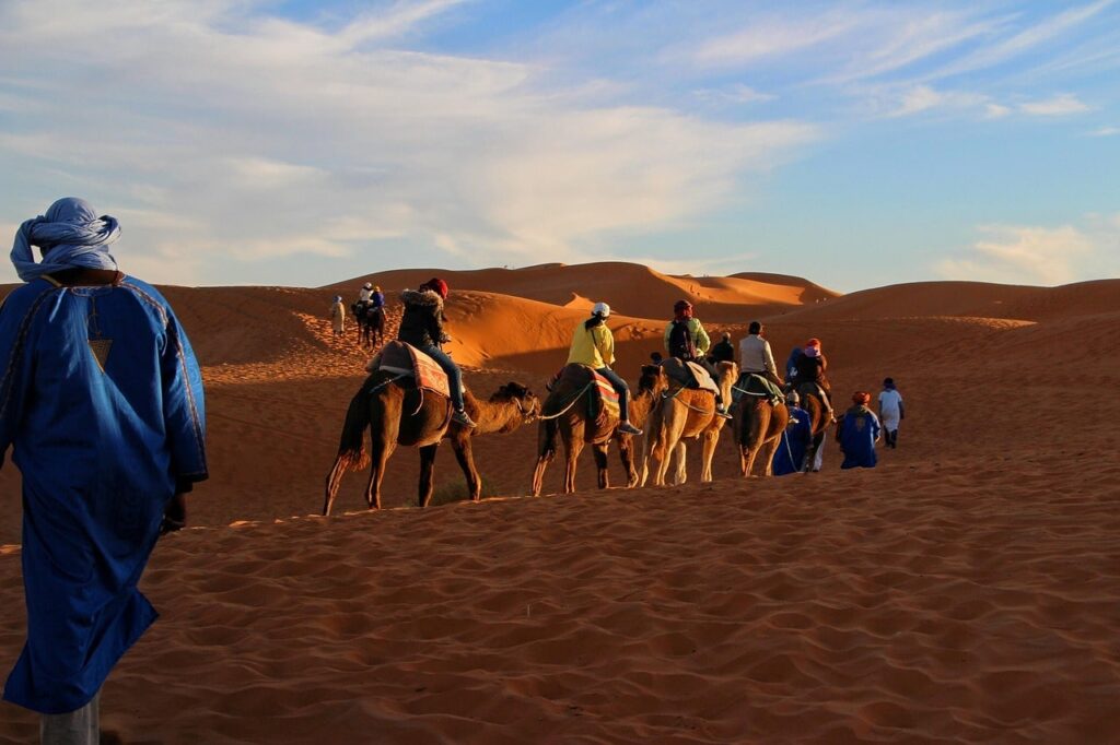 المغرب — ركوب الجمال في الصحراء الكبرى
