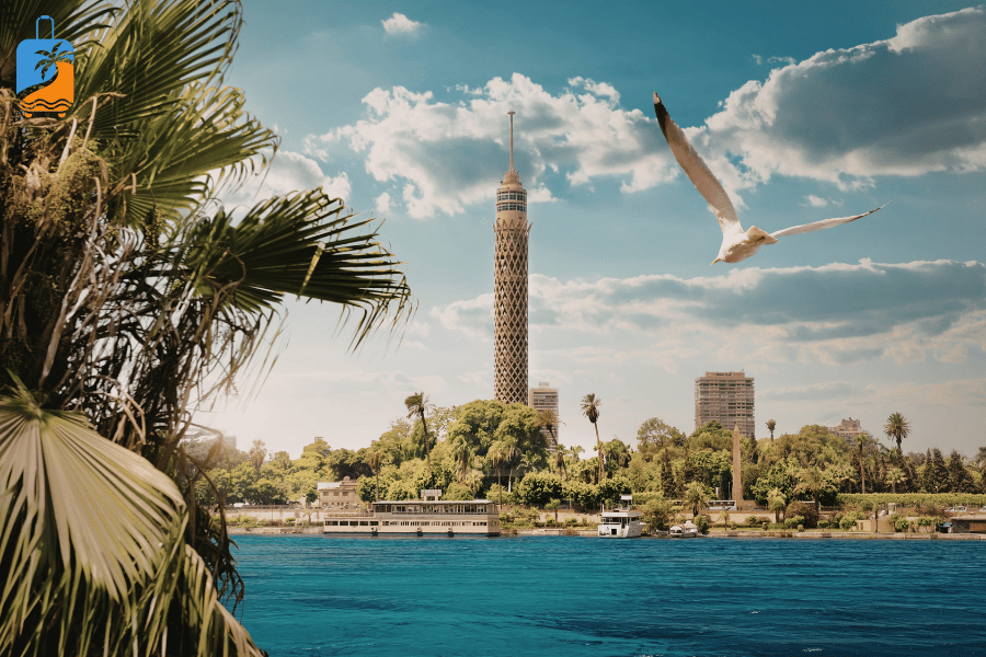 Cairo Pyramids Day Tour - Egypt Travel Experience