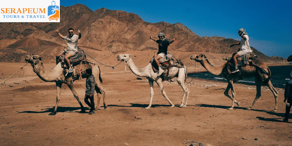 Hurghada Travel Guide: Best Beaches, Diving & Resorts Sunny beach weather in Hurghada Egypt during the best travel season
