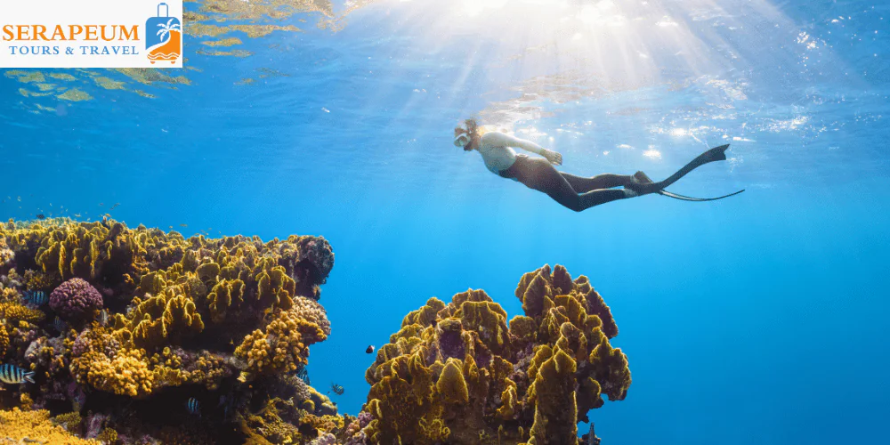 Hurghada Travel Guide: Best Beaches, Diving & Resorts Diving and snorkeling in Hurghada Red Sea with coral reefs and marine life