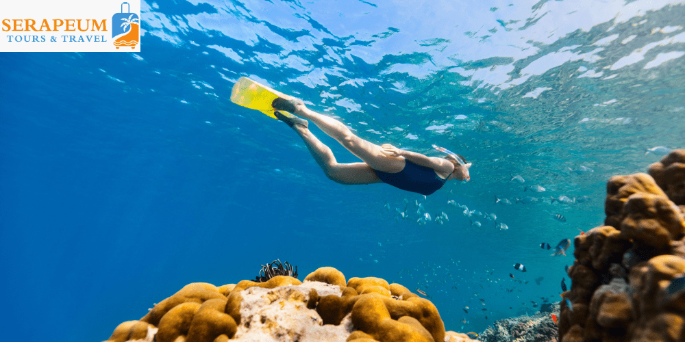Sharm El Sheikh Travel Guide: Diving, Beaches & Resorts Snorkeling above coral reefs at Ras Mohammed near Sharm El Sheikh