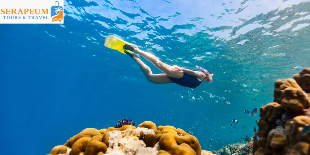 Sharm El Sheikh Travel Guide: Diving, Beaches & Resorts Snorkeling above coral reefs at Ras Mohammed near Sharm El Sheikh